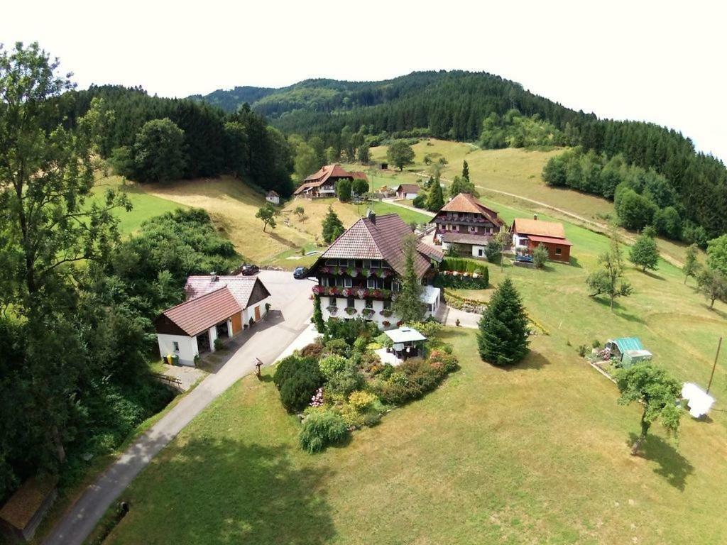 Ferienwohnung Haus Schneider Gutach Exterior foto